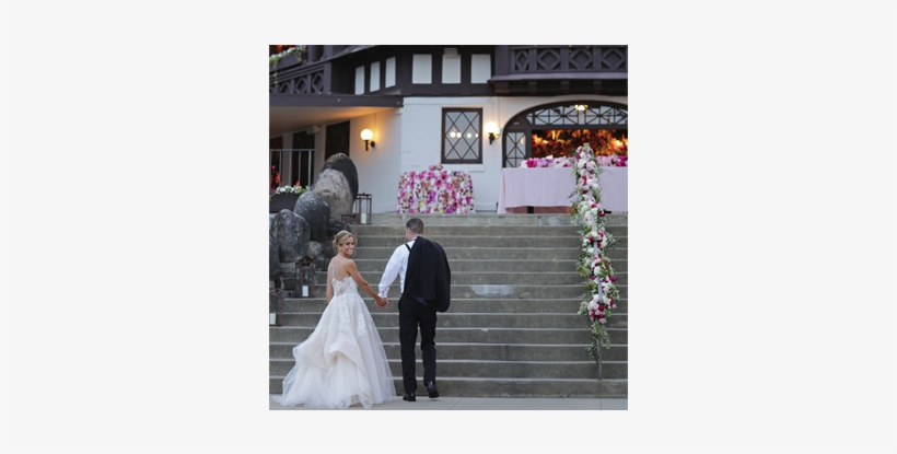 Bride, transparent png download