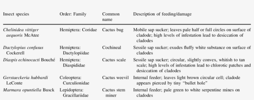 Native Opuntia Herbivores Found In Central Florida - Florida, transparent png download