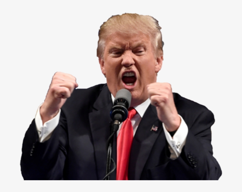 Com Will Never Disclose Personally Identifying Information - Donald Trump / The Donald 8 X 10 / 8x10 Glossy Photo, transparent png download