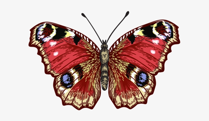 Butterfly Png Clip Art Image - American Painted Lady, transparent png download