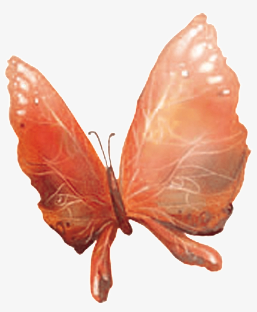 Hd Beautiful Colorful Butterfly Png - Butterfly, transparent png download