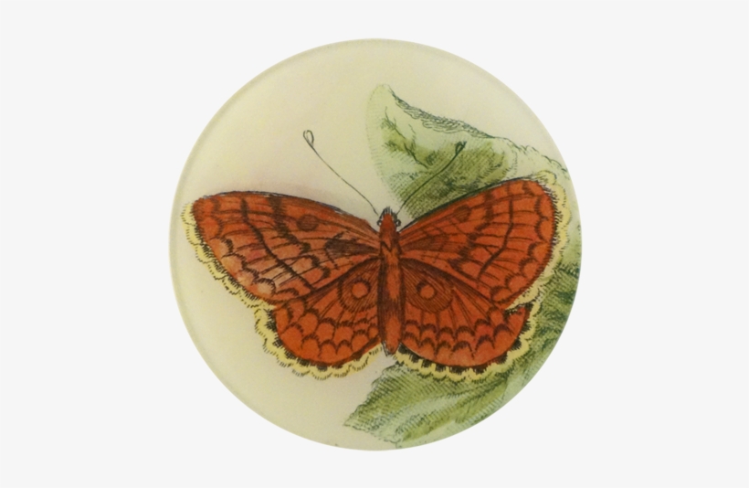 Red Butterfly Red Butterfly - Hamearis Lucina, transparent png download