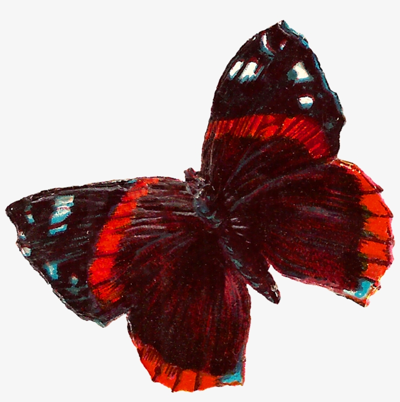 Red Butterfly Image Downloads - Clip Art, transparent png download