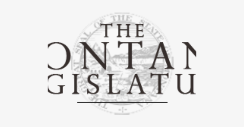 2017 Legislative Update - โรงแรม เซ็น ทา รา แก รน ด์ บี ช รีสอร์ท ภูเก็ต, transparent png download