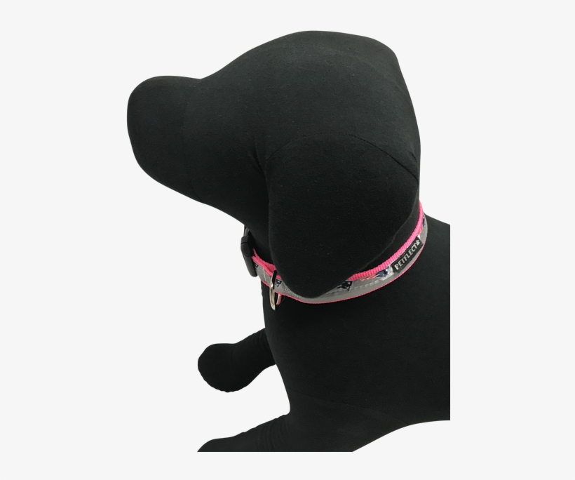 New England Patriots Dog Collar - Baseball Cap, transparent png download