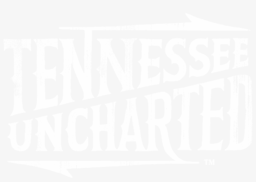 Tnu Logo - Samsung Logo White Png, transparent png download