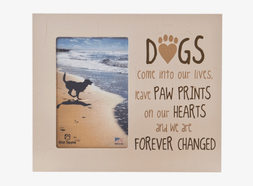 Picture Frame "dogs Come Into Our Lives, Leave Paw - Memorial Pet Picture Frame, transparent png download