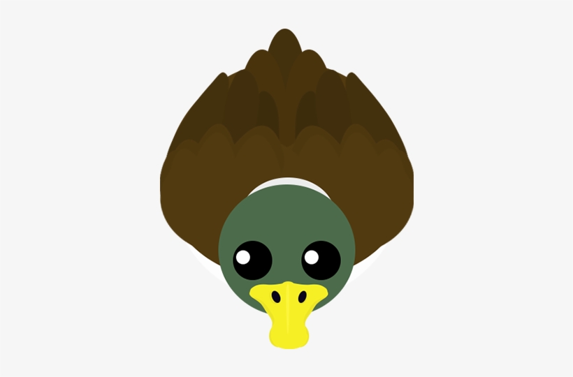 Duck 0 - Cartoon, transparent png download