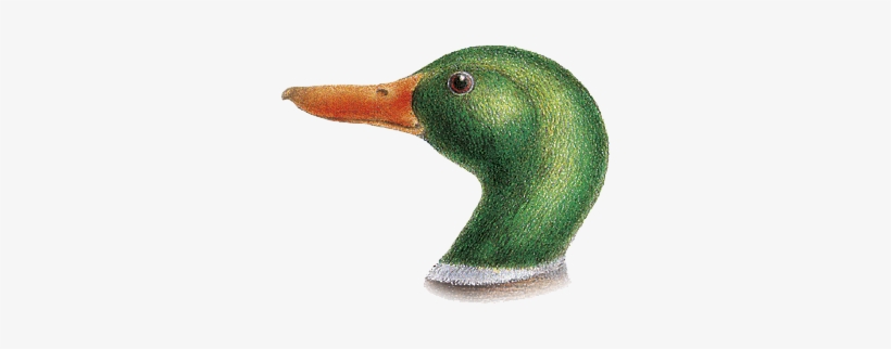 Duckling London Dry Gin Is A Typical London Spirit,, transparent png download