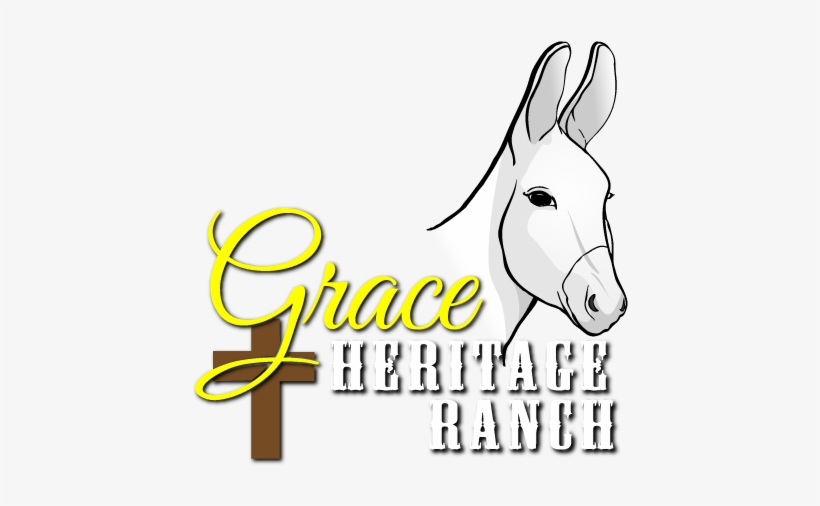 Donkey, transparent png download