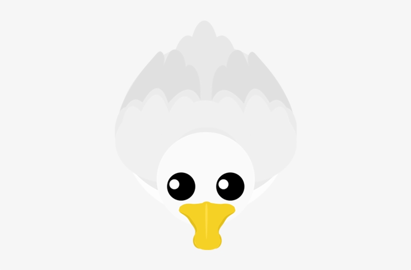 Duck 1, transparent png download