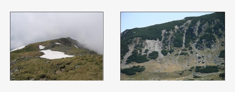 Nival Depression West Of Parângul Mare Peak - Lacul Calcescu, transparent png download