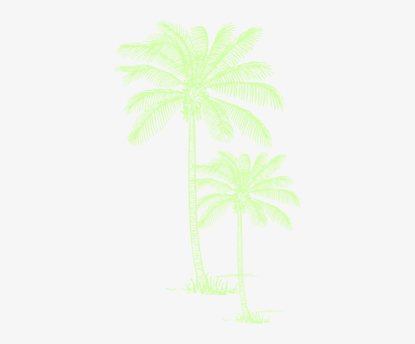 How To Set Use Palm Tree Clipart - Tropisches Ombre Sonnenuntergang Der Duschvorhang, transparent png download