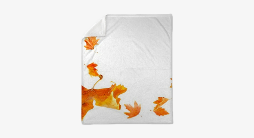 Autumn Leaves Falling And Spinning Isolated On White - Leaves Falling, transparent png download