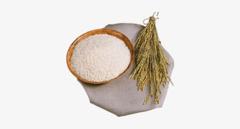 Rice Stalks And Bowl - Рис Клипарт, transparent png download