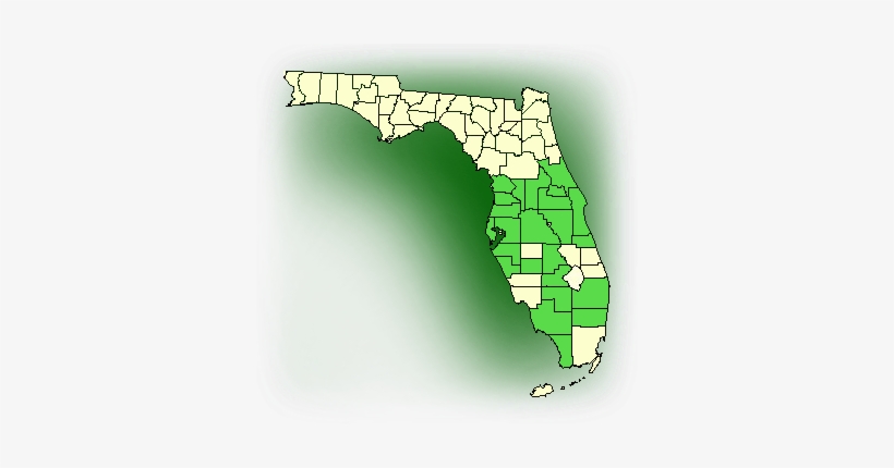 Distribution Map For Jingle Bell Orchid, Needleroot - Vanilla Orchid Florida, transparent png download