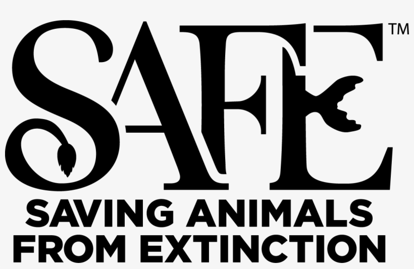 Endangered Species “vanishing” At Louisville Zoo - Saving Animals From Extinction, transparent png download