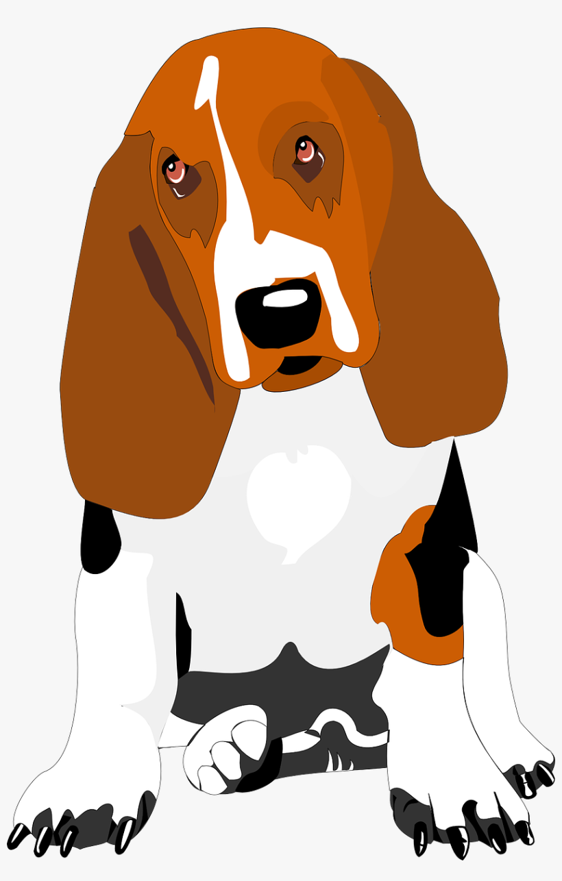 Hound Basset Clipart, transparent png download