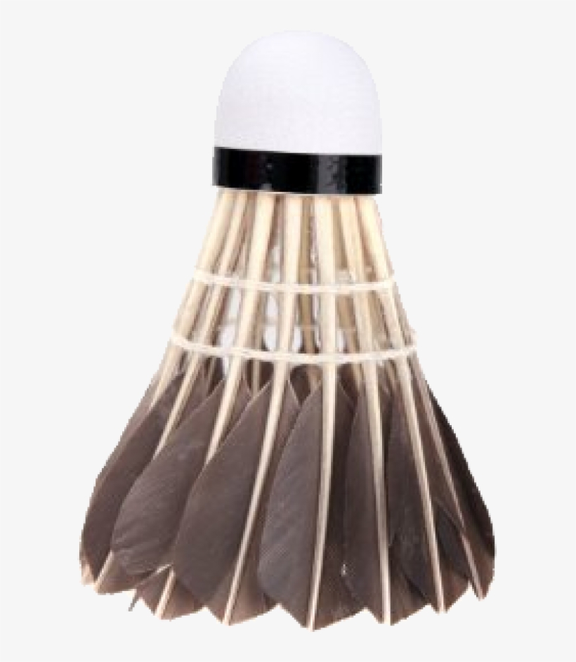 Badminton Chicken Hair Png - Regai Regail 12pcs Black Badminton Goose Feather Cork, transparent png download