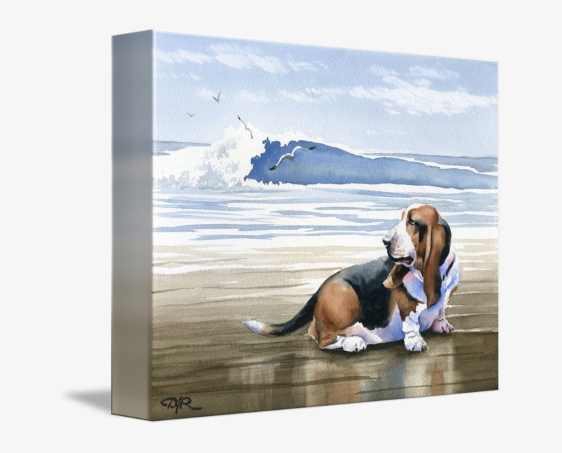 "basset Hound At The Beach" By David Rogers - Basset Hound, transparent png download