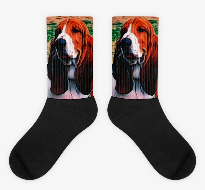 Basset Hound, transparent png download