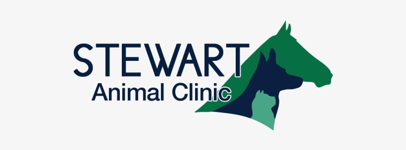 Stewart Animal Clinic, transparent png download