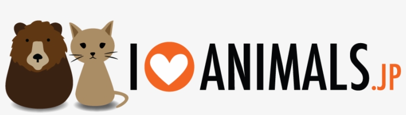 Header Image - Love Animals Transparent, transparent png download