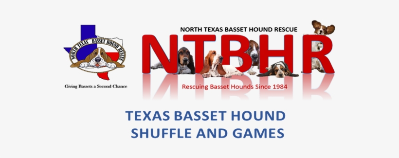 Check Our Website For Online Registration This Year, - Basset Hound, transparent png download