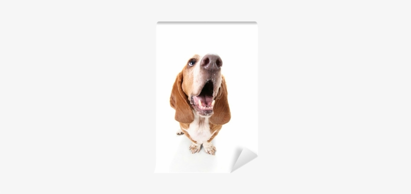 American Distribution & Mfg Co Dog Treats, Bacon,, transparent png download