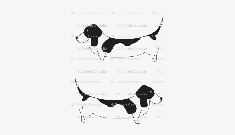 Basset Hound - Harrier, transparent png download