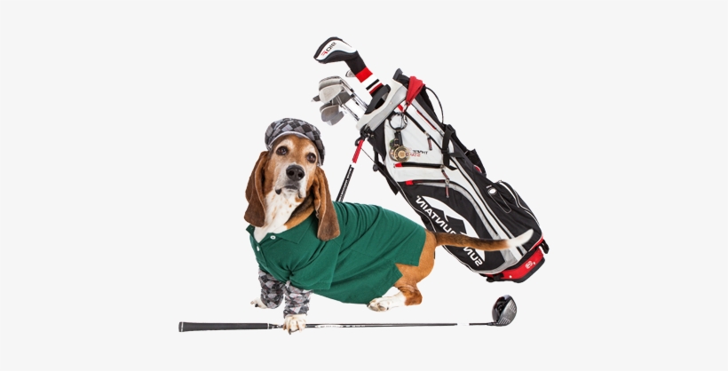 Fees, Range Balls, Cart And One Raffle Ticket - Basset Hound, transparent png download
