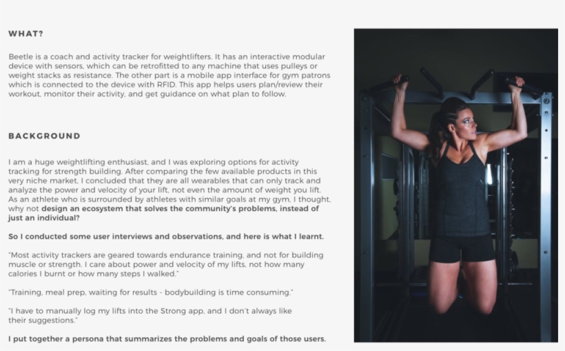 Beetle-what, transparent png download