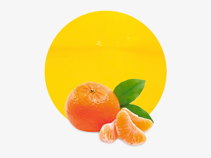 Com/wp Juice Nfc - Shampoo Hempseed By The Wonder Seed, transparent png download
