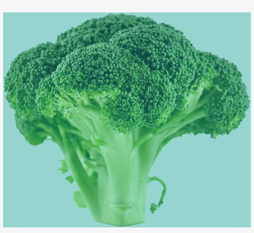 Brocoli Green Trans - Brocoli, transparent png download