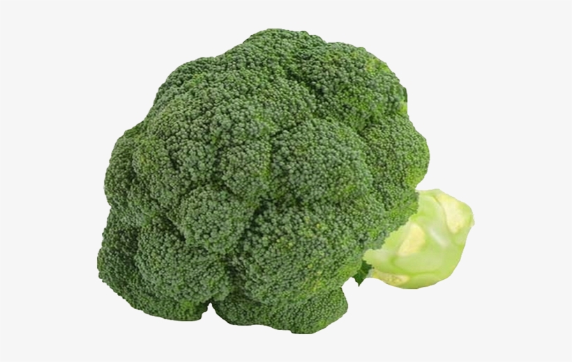 Borécole Brocoli Sur Fond Transparent - Broccoli, transparent png download