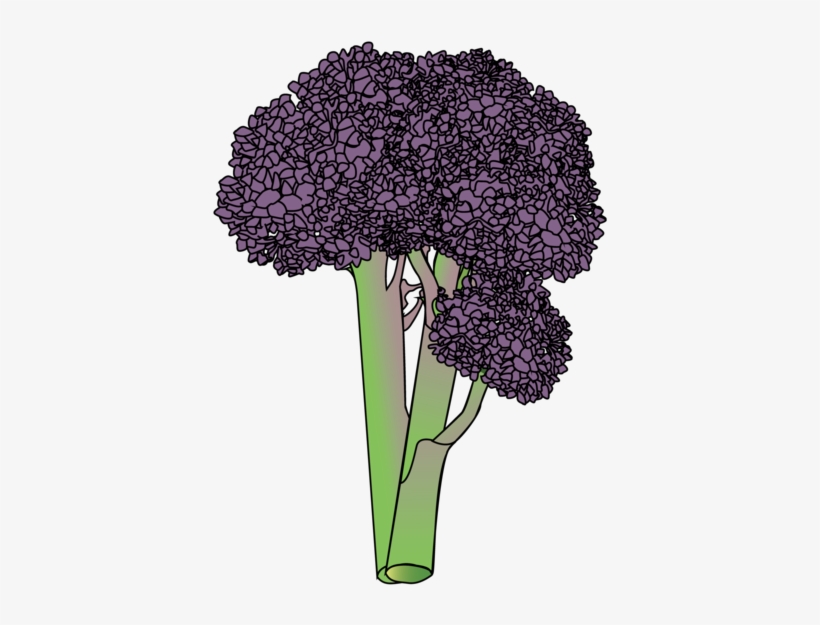 Broccoli - Bouquet, transparent png download