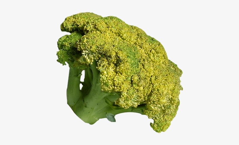 Brocoli - Moss, transparent png download