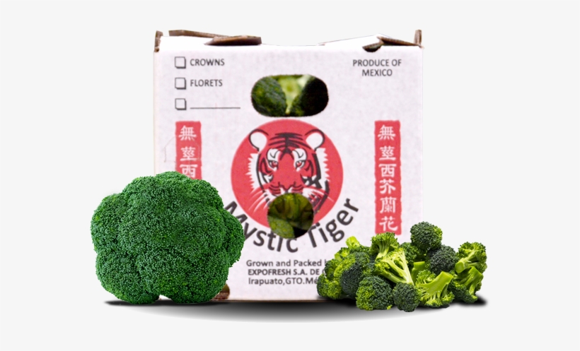 Comercialización - ! Green Vegetables Broccoli,broccoli Seeds Balcony, transparent png download
