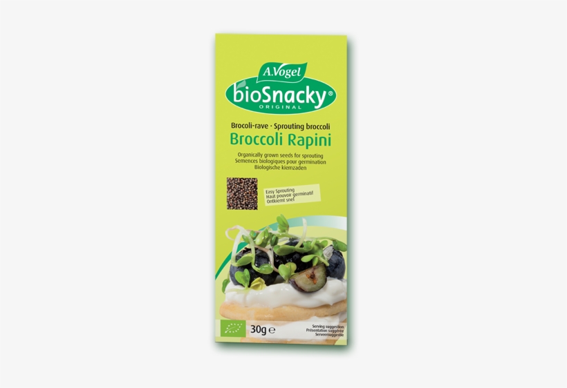 Sprouts From Organically Produced Broccoli Seeds - Avogel Bio Snacky - Brocolli - 40 G, transparent png download