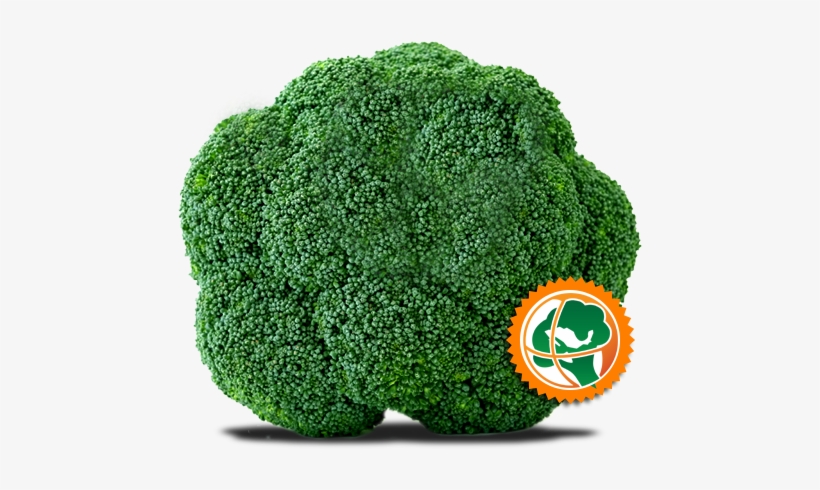 Corona De Brocoli - ! Green Vegetables Broccoli,broccoli Seeds Balcony, transparent png download
