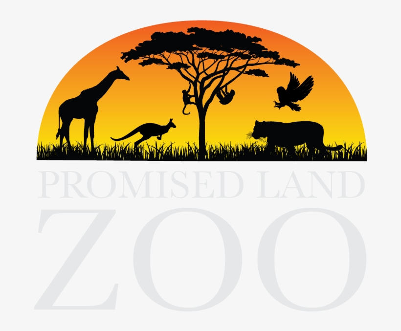 Branson Location - Silhouette, transparent png download