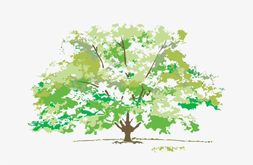 Free Maple Tree Clip Art Design - Summer Nature Clip Art, transparent png download