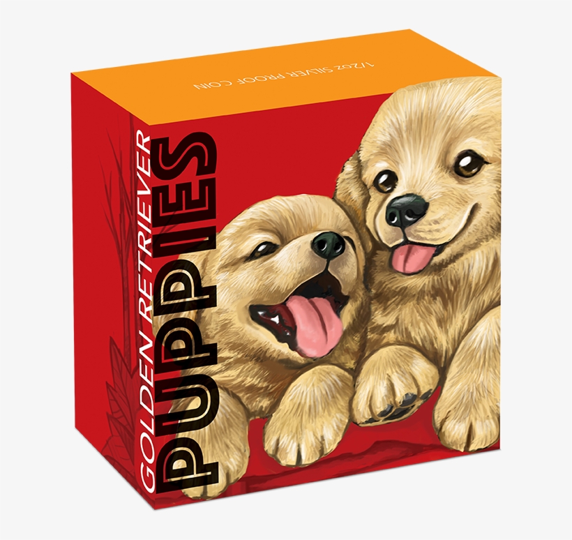 Enlarge - Golden Retriever, transparent png download