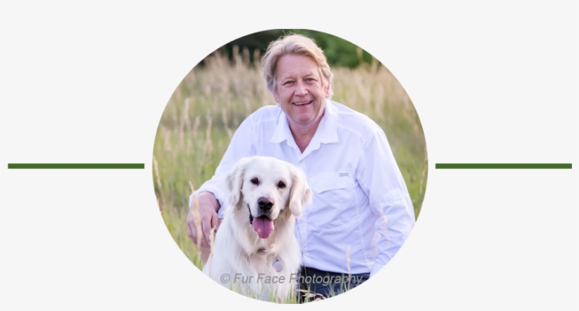 Snitker Goldens Therapy Dog Testimonial Bogey Suter - Therapy Dog, transparent png download