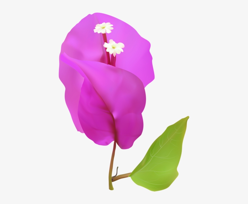 0, - Clip Art, transparent png download