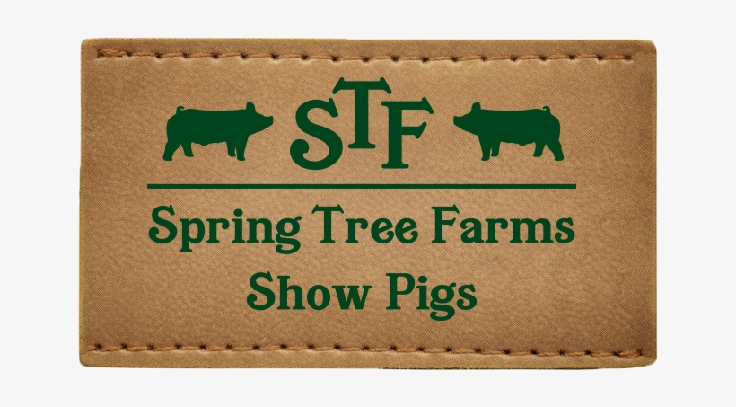 Portugal Cove-st. Philip's, transparent png download