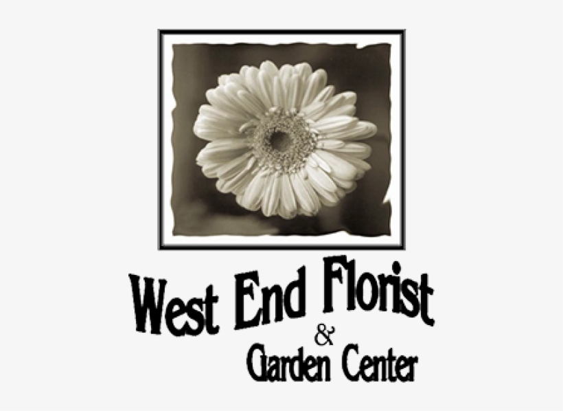 How To Measure, Hang And Light Garland - West End Florist & Garden Center, transparent png download