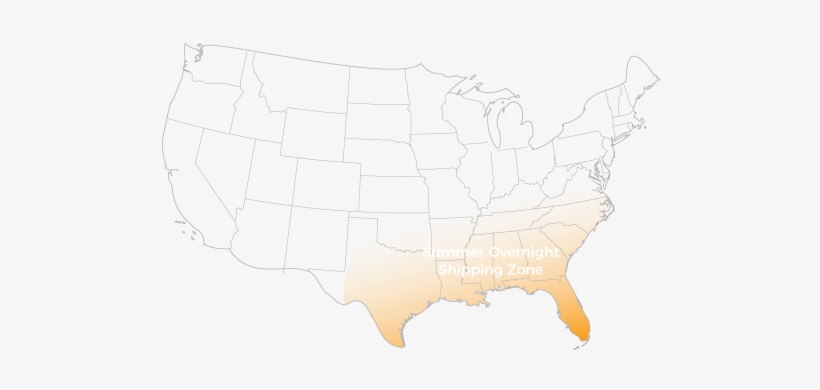 Is It Summer Are You In A Southern State Select Our - Sketch, transparent png download