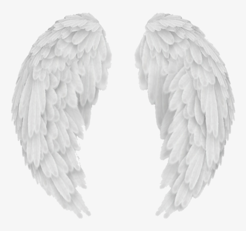 Report Abuse - Angel Wings, transparent png download