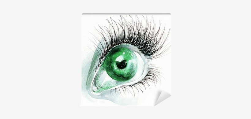 Sketch, transparent png download